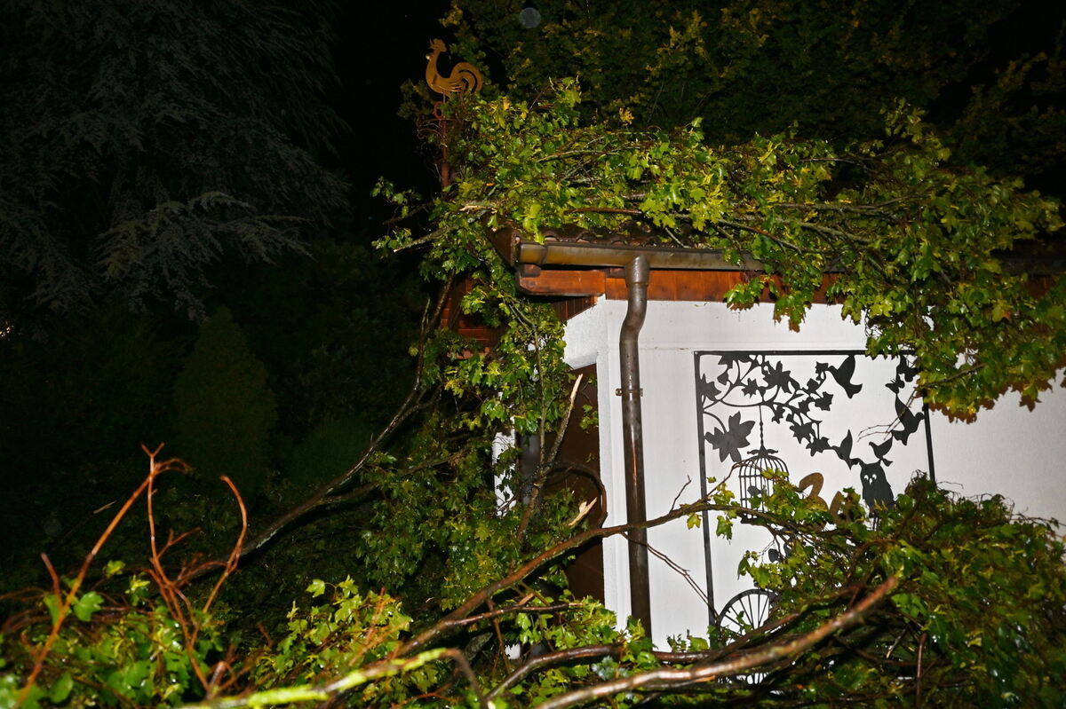 Garage in Talheim unterm Baum FOTO MEYER 5017