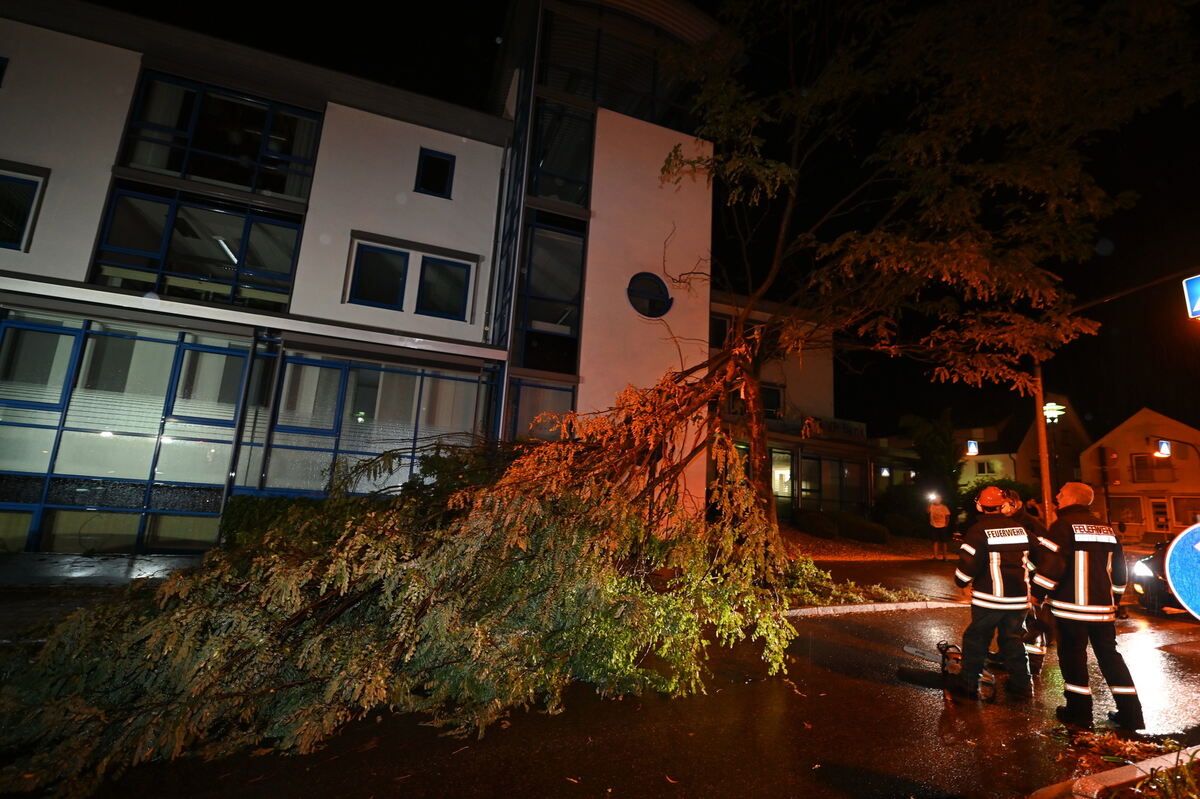 Abgeknickter Baum auf der Mössinger KarlJaggyStraße FOTO MEYER