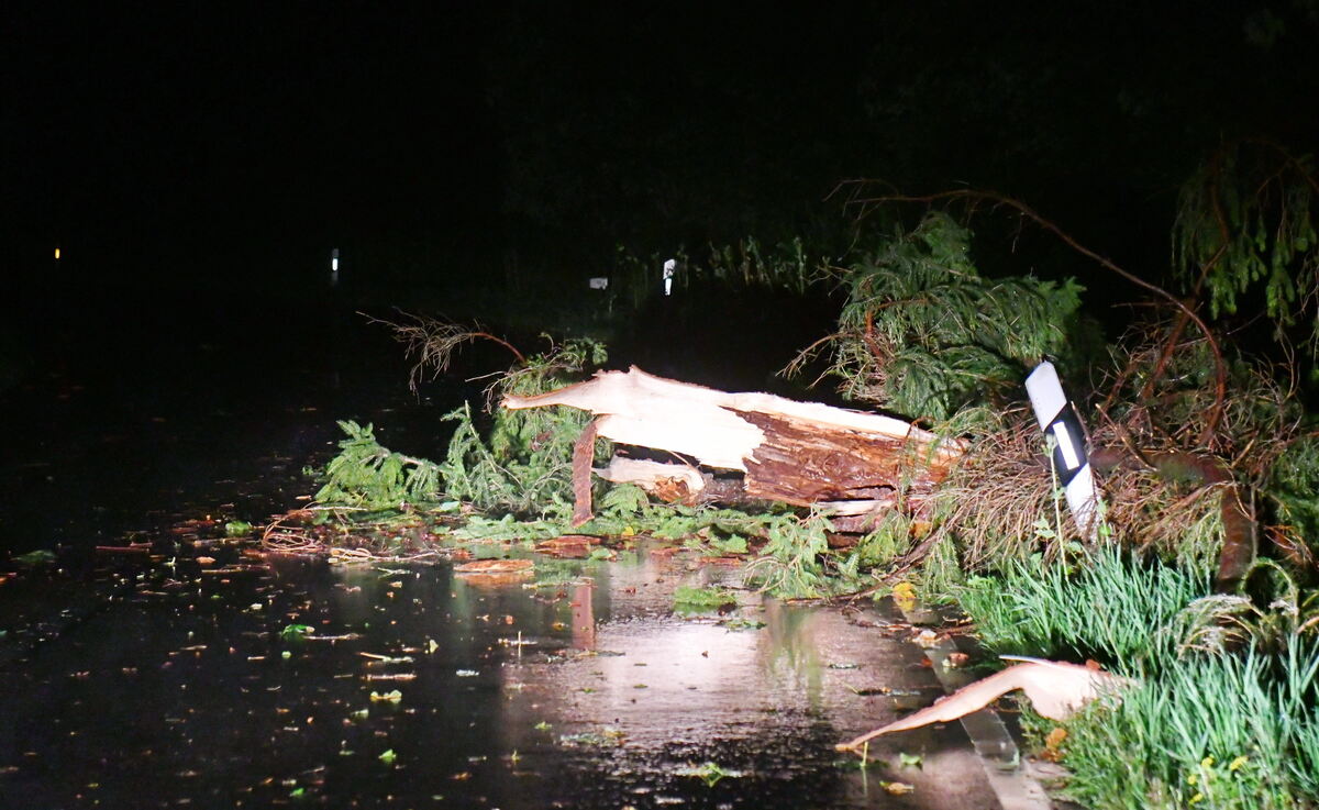 Landesstraße zwischen Öschingen und Gönningen FOTO MEYER 3718