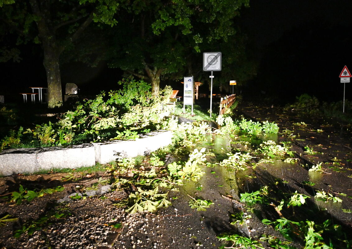 Mit Ästen übersäte neue Kneippanlage in Talheim FOTO MEYER_5019
