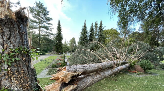 Auch hier hat der Sturm gewütet: Gräber auf dem Mössinger Friedhof sind von Sturmholz bedeckt und beschädigt. FOTO: MEYER Auch hier hat der Sturm gewütet: Gräber auf dem Mössinger Friedhof sind von Sturmholz bedeckt und beschädigt. FOTO: MEYER