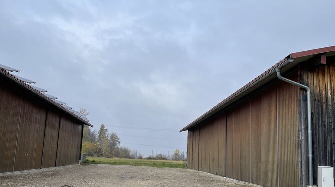 Schuppenanlage Eningen Auf dem Grundstück hinter den beiden Schuppen, sollen weitere Gemeinschaftsschuppen entstehen.
