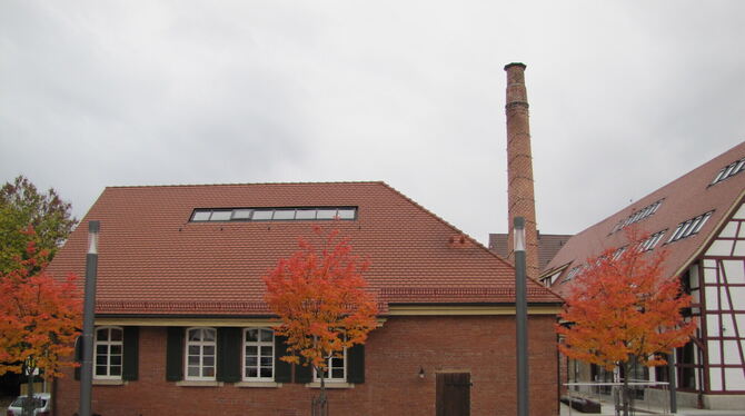 Alte Molkerei in Walddorfhäslach Blumenverkauf statt Kultur - die Alte Molkerei in Walddorfhäslach