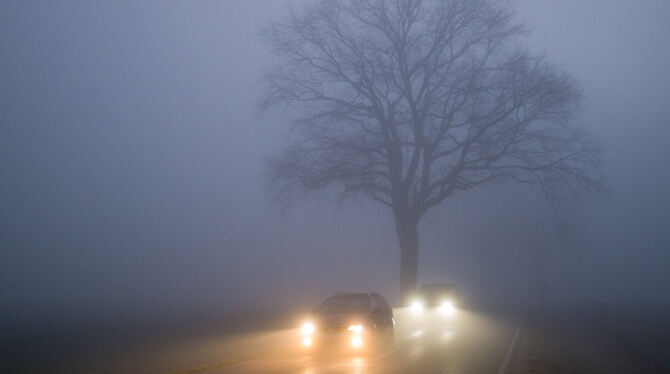 tmn0712, Ratgeber, Herbst, Winter, Winterreifen Stimmungsvoll, aber gefährlich: Nebel erhöht das Unfallrisiko. Besonders häufig tritt er in den letzten drei Monaten des Jahres