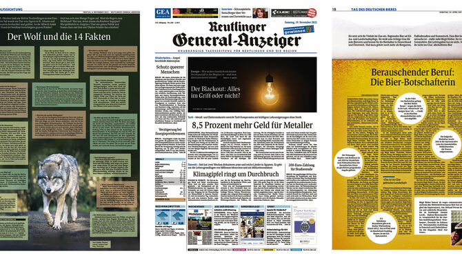 Preisgekrönt (von links): Die Sonderseite »Der Wolf und die 14 Fakten«, die Titelgeschichte zum Thema Blackout mit allen zugehör