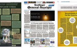 Preisgekrönt (von links): Die Sonderseite "Der Wolf und die 14 Fakten", die Titelgeschichte zum Thema Blackout mit allen zugehör
