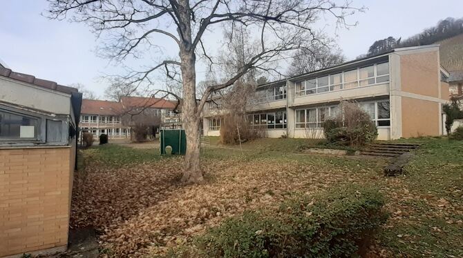 Pavillons Dietrich Bonhoeffer Gymnasium Die beiden Pavillons des Dietrich Bonhoeffer Gymnasiums (links und rechts) sind in die Jahre gekommen und werden abgerissen. Die