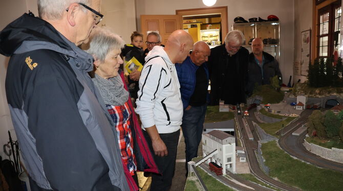 Großes Interesse zeigten viele Besucher an Miniatur-Wunderwerken.