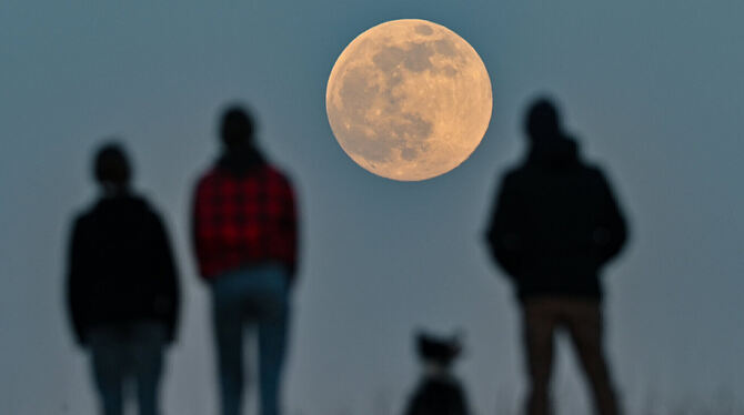 Der Vollmond und seinen Einfluss auf die Menschen: Seit Urzeiten wird darüber diskutiert.