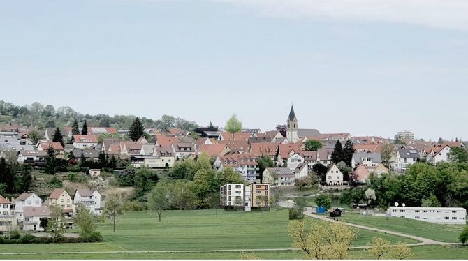 Pliezhausen Flüchtlingshaus Wohnhaus Anschlussunterbringung Visualisierung Auf dem Areal der früheren Gärtnerei zeigt diese Visualisierung des Architekturbüros, wie sich das Haus für Flüchtlinge in das O