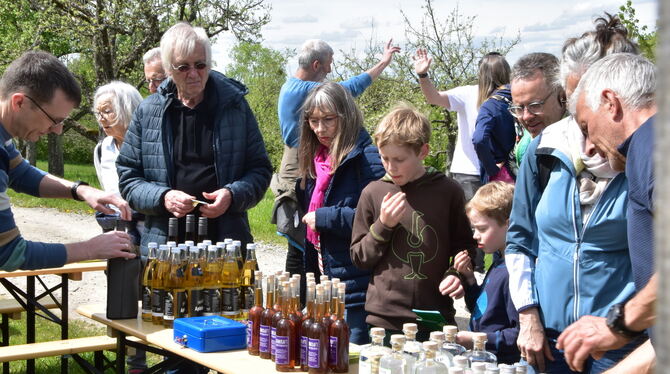 Streuobstprodukte Albvereinswanderer am reich gedeckten Tisch mit flüssigen Mössinger Streuobstwiesenprodukten. FOTO: MEYER