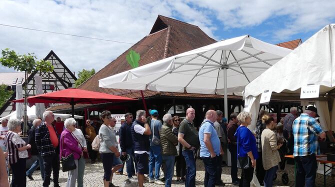 Metzingen war rappelvoll beim Schwäbischen Kunstmarkt am Pfingstsonntag und -montag. In die Sieben-Keltern-Stadt strömten nach A