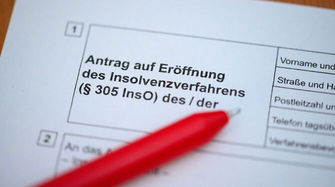 Formular für den Insolvenzantrag