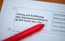 Formular für den Insolvenzantrag
