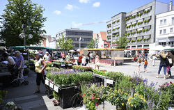 Der Reutlinger Marktplatz an einem sonnigen Augusttag. Stadt und Marktbeschicker sind sich einig: Mehr Schatten wäre wichtig und