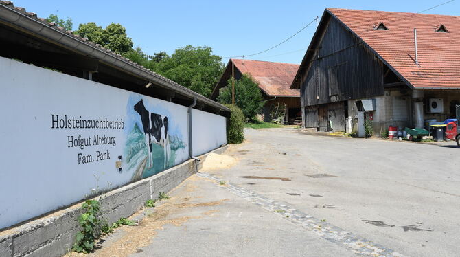 Hofgut Alteburg Wo heute der Milchviehstall (links) steht, möchten die neuen Pächter einen Hofladen bauen.