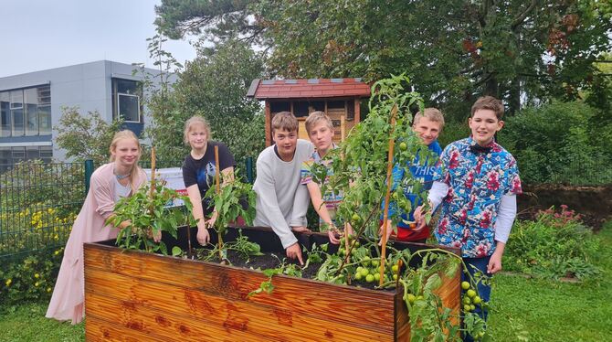 Angefangen hat vor gut einem Jahr alles mit den Hochbeeten. Inzwischen haben die Schüler die erste Ernte aus dem Schulgarten ein