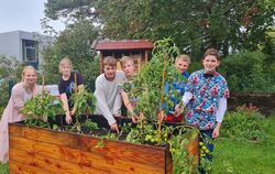 Angefangen hat vor gut einem Jahr alles mit den Hochbeeten. Inzwischen haben die Schüler die erste Ernte aus dem Schulgarten ein