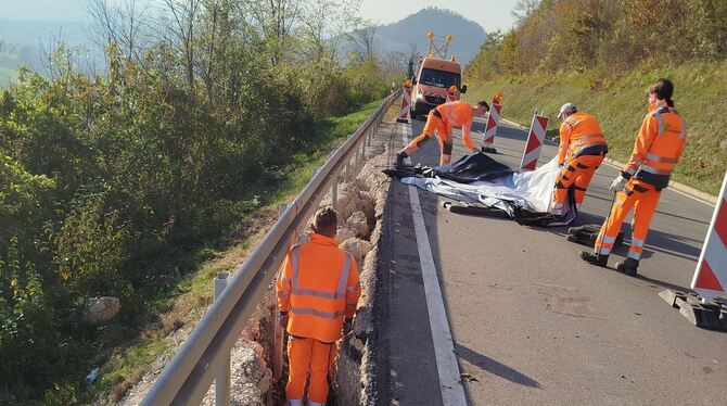 Erst kürzlich wurden an einem der fünf Hangrutsche der Eninger Steige Bodenbereiche abgedichtet, um Hang und Straße dort abzusic