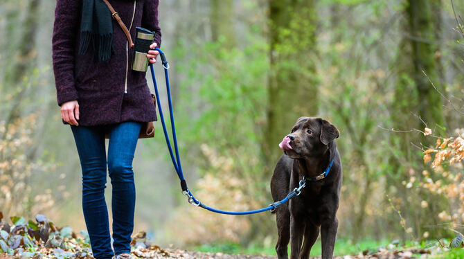 nsb, lni Für Kommunen ist die Hundesteuer eine wichtige Einnahmequelle. Gomaringen verbindet die Erhöhung gleichzeitig mit einer breit an