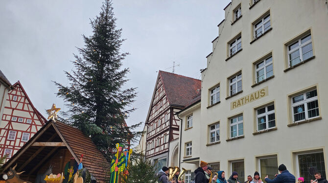 Musikkapellen sorgten für adventliche Klänge auf dem Trochtelfinger Christkindlesmarkt.