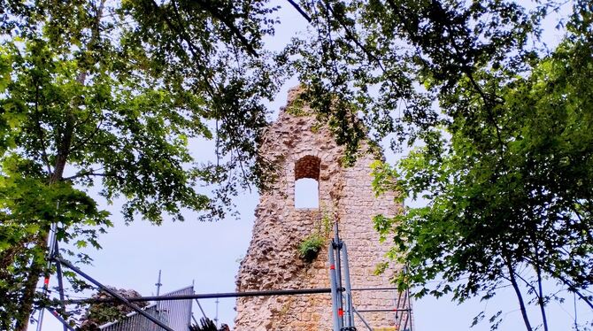 Der Bergfried ist abgesperrt und teilweise eingerüstet. Die Sanierung der Burgruine Hohenstein ist eines der Projekte, die Bürgermeister Simon Baier in seinem Jahresrückblick hervorhob