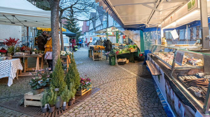 Wochenmarkt, Markt, Einkaufen, Regional, Kultu- und Umweltforum, Nachhaltigkeit, Rathaus, Stand, Stände Der Eninger Wochenmarkt: Über den Mittwochvormittag kommen die Besucherinnen und Besucher zu ganz verschiedenen Zeiten.