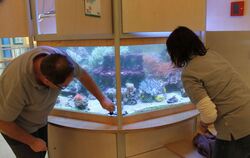 Thomas Musch bei der Pflege des Aquariums in der Kinderklinik Tübingen.  FOTO: PRIVAT