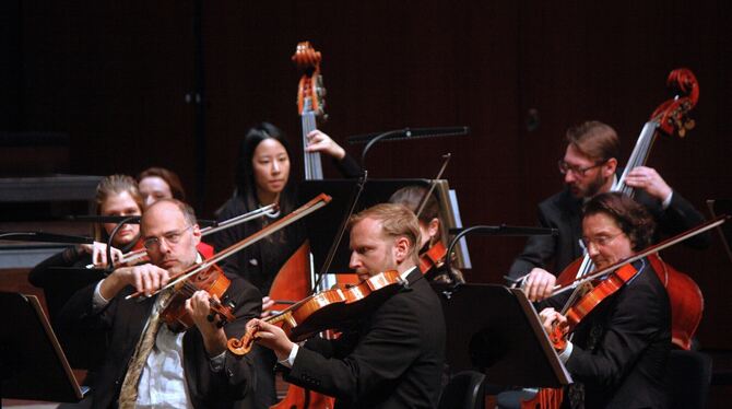 Sonntags um elf, Württembergische Philharmonie, Streicher, Bratsche, Kontrabass Musikerinnen und Musiker der Württembergischen Philharmonie im »Sonntags um elf«-Konzert.