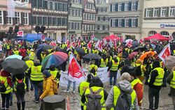 Die Gewerkschaft Verdi hatte die Mitarbeiter des öffentlichen Diensts am Dienstag zum Streik auf dem Tübinger Marktplatz aufgeru