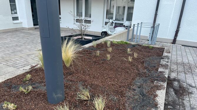 Eines der zerstörten Beete auf dem Pfullinger Marktplatz.  FOTO: STADT