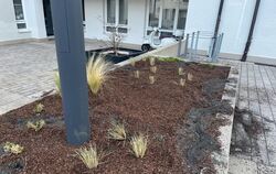 Eines der zerstörten Beete auf dem Pfullinger Marktplatz.  FOTO: STADT