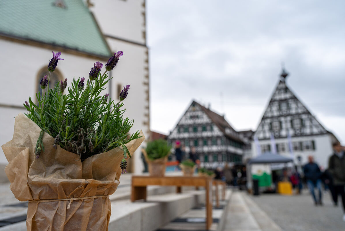Frühlingserwachen_Pfullingen_23_03_2025_Schanz_035
