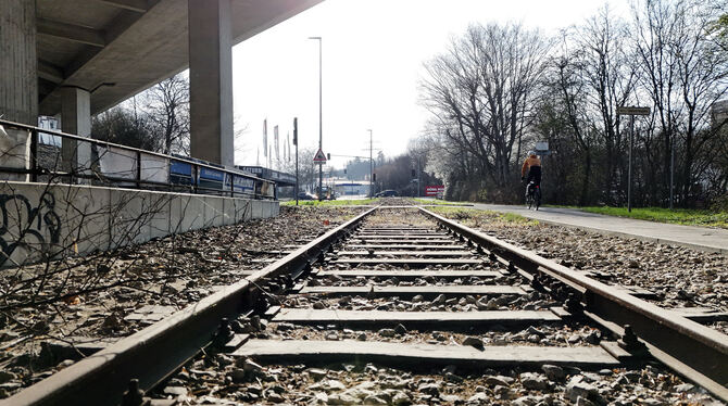 Regional-Stadtbahn Betzingen Übrig geblieben: Die Gleise der ehemaligen Gönninger Bahn im Bereich Auchtertstraße werden wie der gesamte Bahnkörper erneuert,
