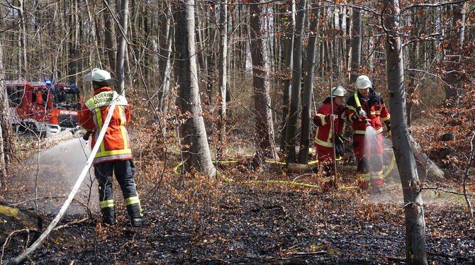 Durch das rasche Eingreifen der Gomaringer Feuerwehr konnte sich das Feuer nicht weiter ausbreiten.