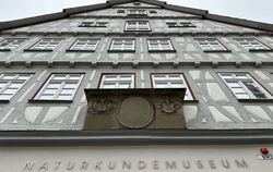 Auch das Naturkundemuseum will junge Menschen für sein Angebot begeistern. 