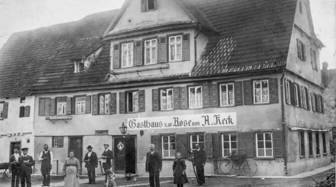 Die alte Rose um 1900.