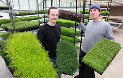Es grünt so grün: die beiden Jungunternehmer David Bauer (links) und Ferdinand Kissel mit ihren Microgreens. 
