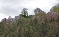 Die Felskulisse um Burg Hohengundelfingen ist teilweise einsturzgefährdet. Die nötigen Arbeiten sorgen für Diskussionen.  FOTO: 