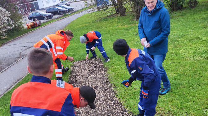 Bald werden Hunderte Sonnenblumen ihre gelben Köpfe zeigen. Mitglieder der Jugendfeuerwehr und Bürgermeister Uwe Morgenstern hab