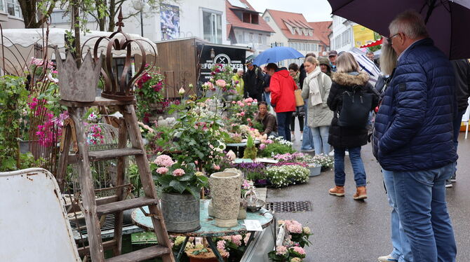 Kunst- und gartenmarkt 2025 Münsingen Viel zu sehen und hören gab es auf dem Frühjahrsmarkt in Münsingen