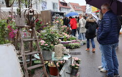 Viel zu sehen und hören gab es auf dem Frühjahrsmarkt in Münsingen