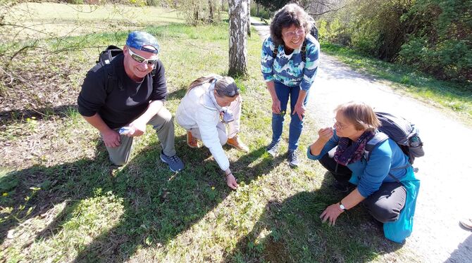 asd Bücken, gucken, riechen: Kursteilnehmende in Aktion.