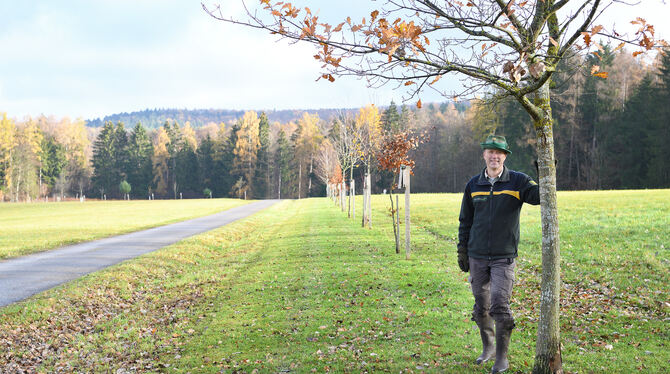 Baum des Jahres Eine lange Allee mit inzwischen fast 40 Stationen: Revierförster Reinhold Gerster am Beginn des Lehrpfads.
