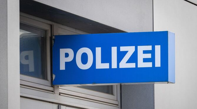 Polizei, Polizeirevier