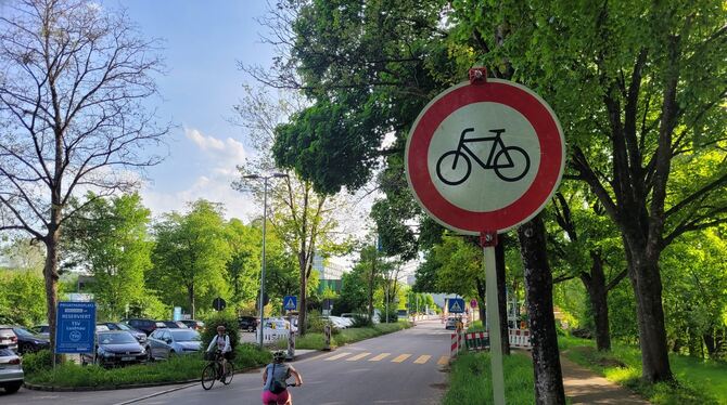 Munter wird am Fahrverbot vorbeigeradelt.
