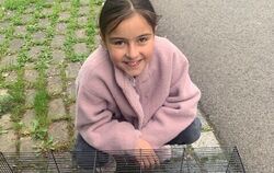 Ein alter Vogelkäfig wurde übergangsweise zur Unterkunft für die beiden jungen Schwalben, die Sophie von der Burgstraße gerettet