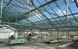 Eindrucksvoll: Ein Gewächshaus steht zum Verkauf.  FOTO: STADT