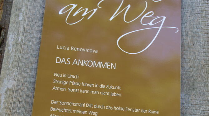 Das Gedicht des Jahres 2025.