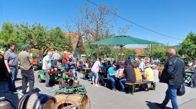 Deichselreitertreffen Deichselreitertreffen am Glemser Obstbaumuseum.